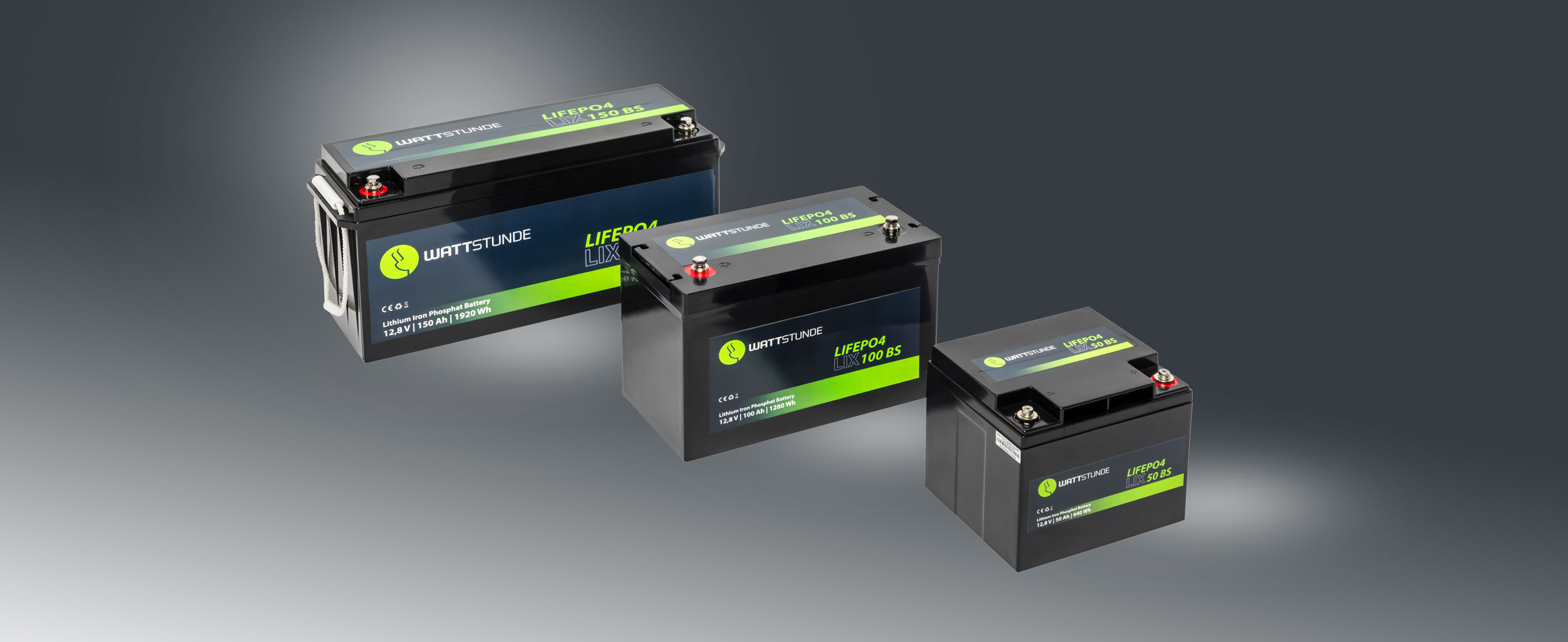 WATTSTUNDE® Lithium Battery 100Ah LiFePO4 / LIX100D-LT